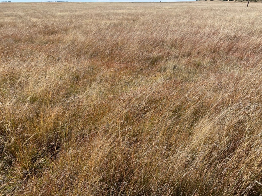 Commercial Property for Sale in Bloemfontein Rural Free State